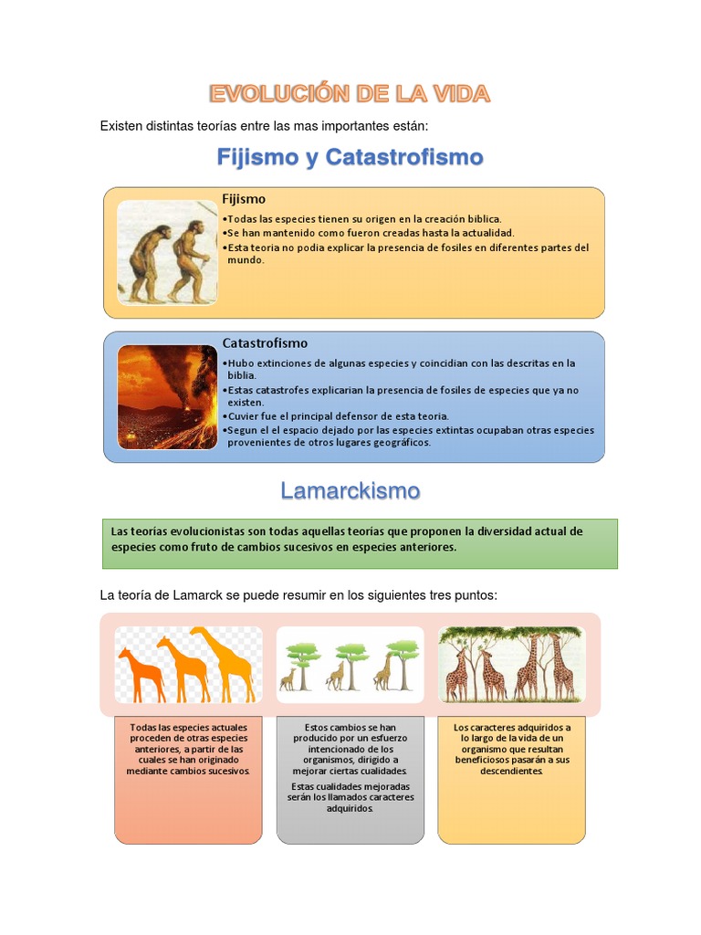 Evolución de La Vida | PDF | Seleccion natural | Evolución