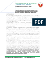 Informe de Estimación de Riesgo - Iep 24430