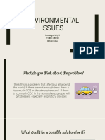 Environmental Issues - WILSON