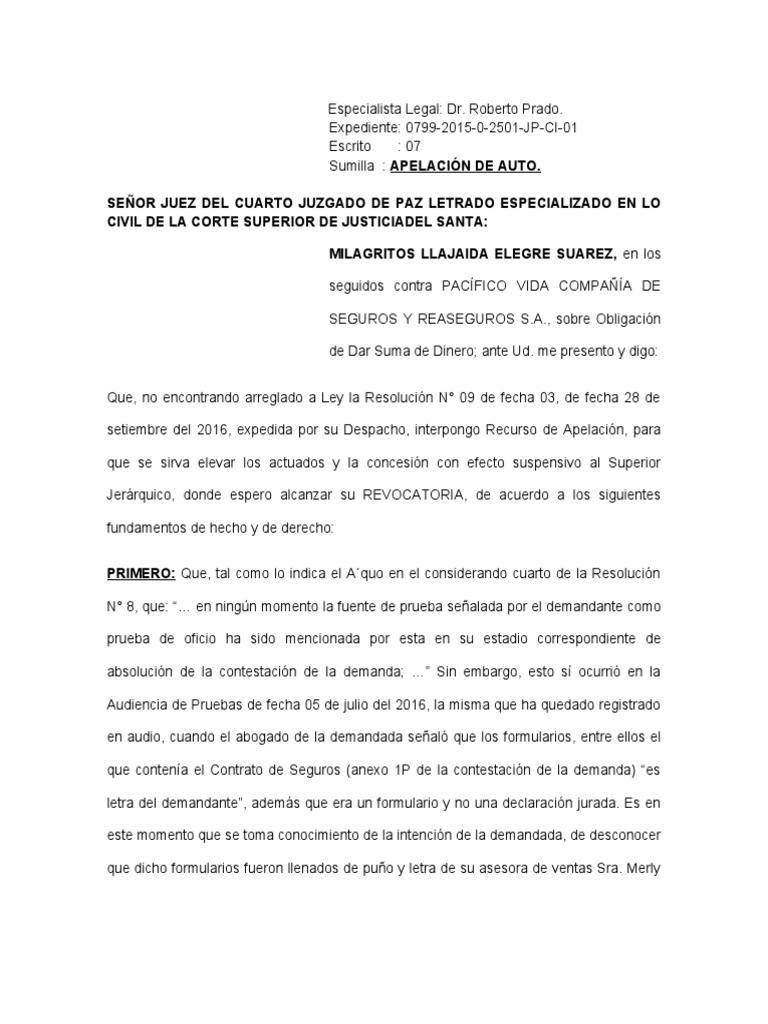 APELACIÓN DE AUTO Milagritos Suarez (ODSD) PDF