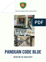 Panduan Code Blue Haulussy Fix PDF