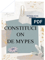 Constitucio Mypes