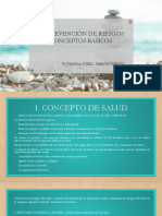 La Prevención de Riesgos PDF