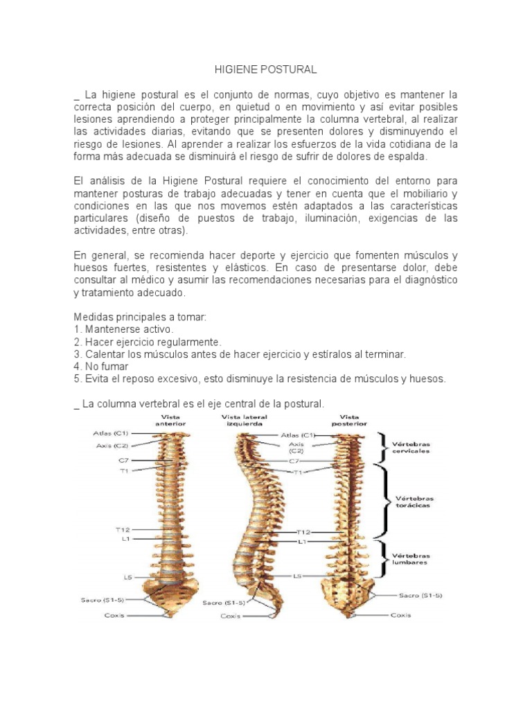 Higiene Postural y Cifosis Infantil | PDF | La columna vertebral ...