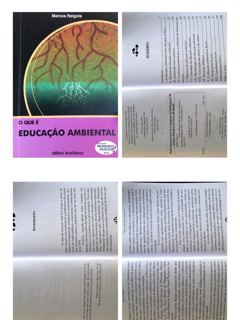 Livro o que e educacao ambiental pdf pdf