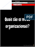 Níveis Organizacionais PDF