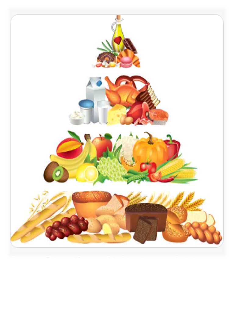 Planilha De Piramide Alimentar Free Vector | Food Pyramid With