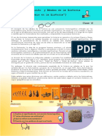 Clase 6 - Las Periodizaciones PDF