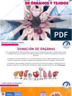 Donación de órganos y tejidos en Colombia