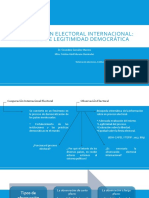 Observación Electoral Internacional