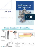 Lehninger Ch10 Lipids