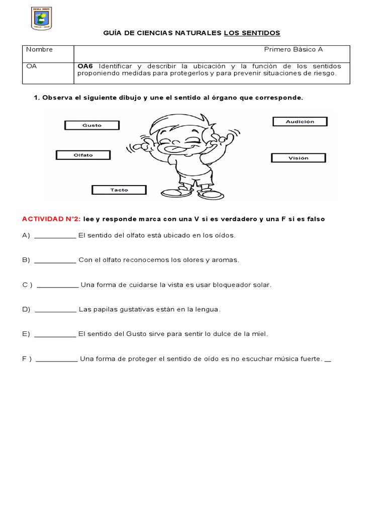 Guía de los Sentidos para Primaria | PDF