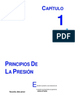 01 Principios de La Presión