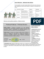 PDF Politicas Publicas - Resumo para Prova