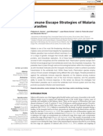 Immune Escape Strategies Maleria