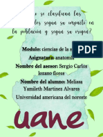 Anatomia 1 PDF