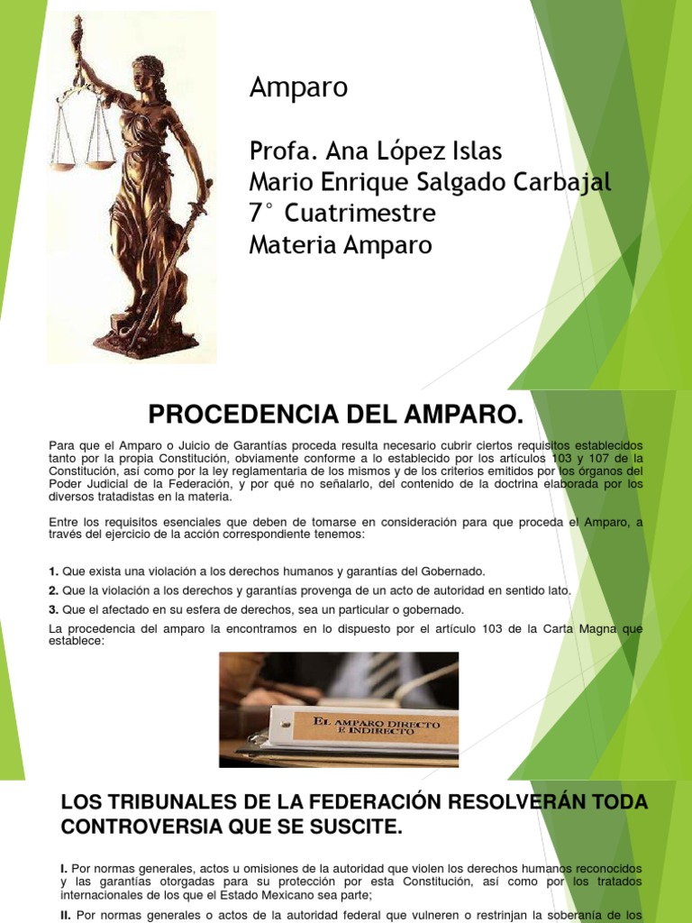 Procedencia del Amparo en México | PDF | Judicaturas | Documentos legales