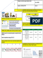 Informe A3 JMP