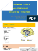 Clase Semana 09 - Morfo I Histologia CC-SL