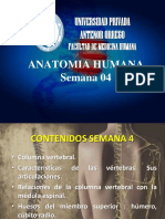 Anatomia Semana - SANCHEZ FERNANDEZ WALTER PDF