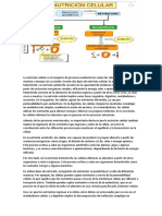 La Nutrición Celular Es El Conjunto de Procesos Mediante Los Cuales Las Células Intercambian Materia y Energía Con Su Medio