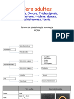 TP Selles 1 PDF