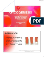 Apicogenesis 