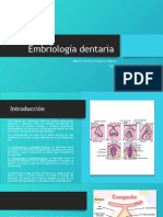 Embriología dentaria