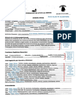 Formato Historia Clinica Gineco3 PDF