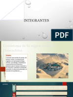 Ecosistema Huacachina: conservación del desierto costero peruano