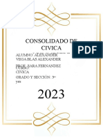 Consolidado de Civica