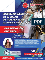 Seguridad Electrica