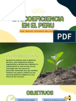 La Ecoeficiencia en El Peru