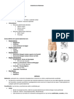 Hernias