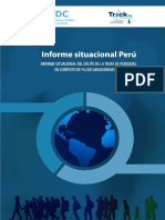 Informe Situacion Peru