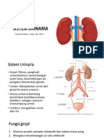 Sistem Urinary - Biomedik PDF