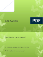 LIFE-CYCLES.pptx