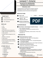 Graphic Designer PDF