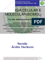 Revisao Acidos Nucleicos AULA 1