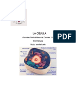 La Célula PDF