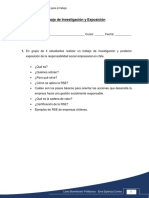 Pauta Informe Responsabilidad Social Empresarial PDF