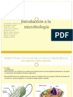 Slide Microbiologia
