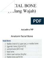 Mandibula Dan Tulang Wajah