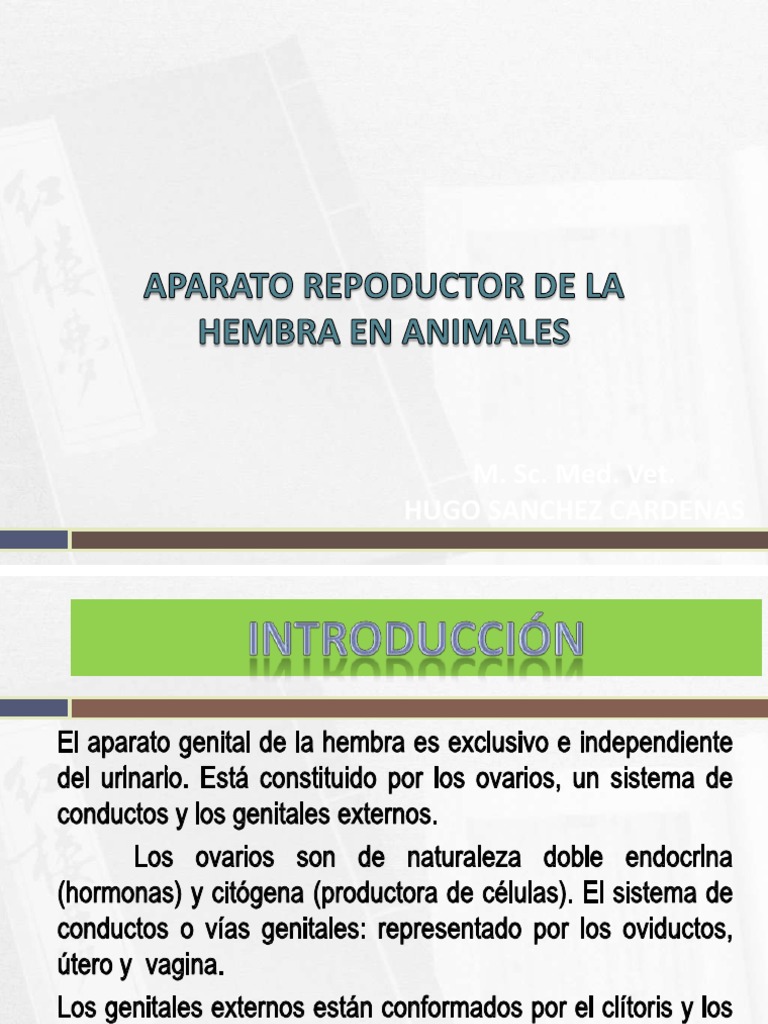 aparato-reproductor-de-la-hembra-en-animales-pdf-sistema