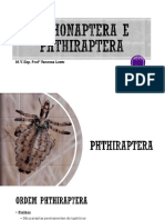 Aula+3 - Siphonaptera+e+Anoplura+ (1) 2 PDF