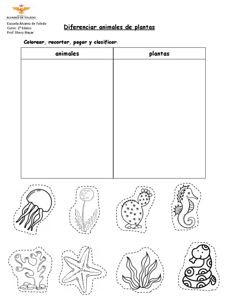 Diferenciar animales de plantas | PDF