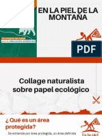 Collage Naturalista Sobre Papel Ecológico