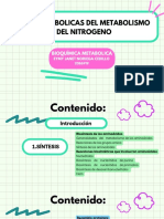 Vías Metabolicas Del Metabolismo Del Nitrogeno