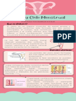 Útero y Ciclo Menstrual