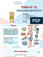 Tema #12 - Síndrome Nefrótico PDF